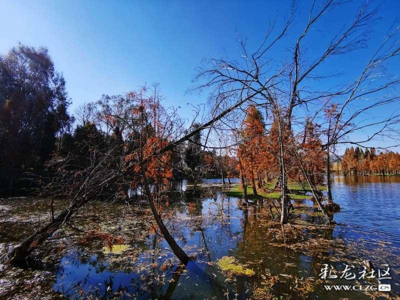 话剧《林则徐》揭幕北京艺术中心戏剧场